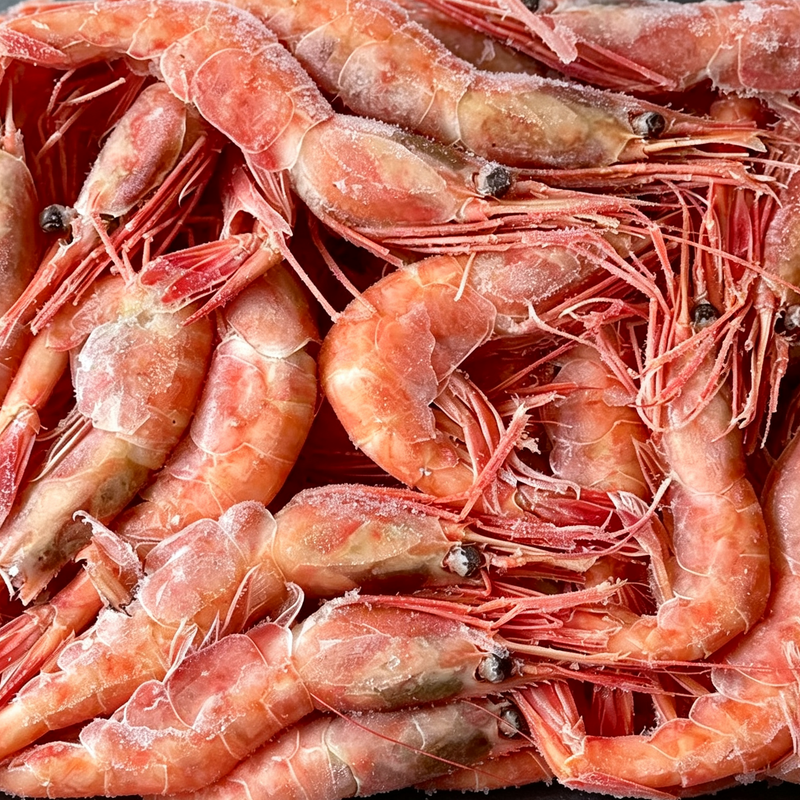 Red Prawns