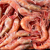 Red Prawns